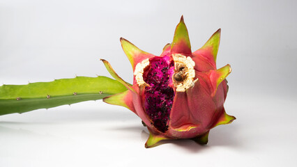 cracked Dragon fruit on white background. ripe pitaya fruit skin in rift and seeds are coming out. dragon fruit with cleft.