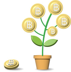 3D Realistic Money tree plant with coin Thai baht. Business profit investment, finance education, business income, business development concept. 
