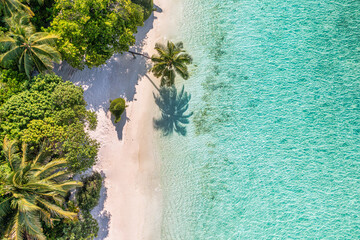 Aerial top view on sand beach. Tropical beach with white sand turquoise sea, palm trees under sunlight. Drone view, luxury travel destination scenic, vacation landscape. Amazing nature paradise island