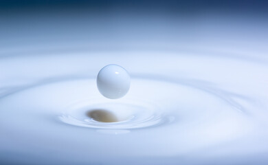 Milk droplet about to hit surface of milk bath or cup of milk