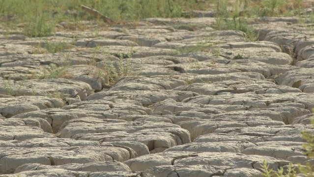 Cracked dry land by drought in the bottom of a lake at sunset