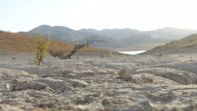Man walking in a lake with cracked dry land in the shore