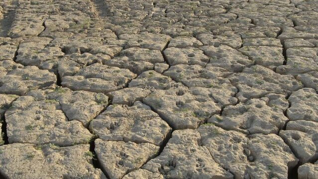 Cracked dry land by drought in the bottom of a lake