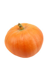 Single fresh orange miniature pumpkin isolated on white background.