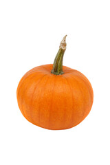 Single fresh orange miniature pumpkin isolated on white background.
