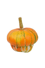 Beautiful single fresh ripe orange mini pumpkin isolated on white.