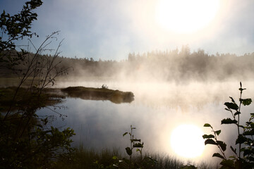 Chapleau Crown Game Preserve / Chapleau Crown Game Preserve /