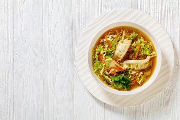 Asian Gyoza Soup in white bowl, top view