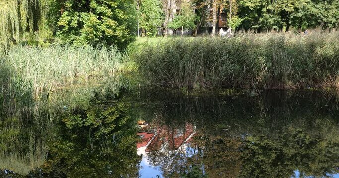 Reflection of the house in the water surface of the pond.