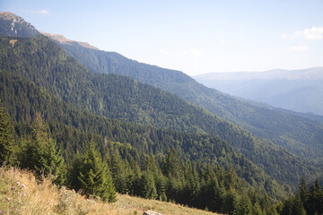 landscape in the mountains and forest