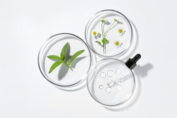 Petri dishes with different plants and cosmetic product on white background, top view