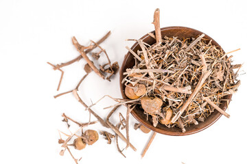 Xanthocarpum solanum is an Ayurvedic herb from India also known as choti Kateli or Kantakari is medicinal plant 