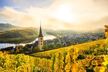 Fotobehang The Moselle loop in autumn, a beautiful river in Germany, makes a 180 degree loop. with vineyards and a great landscape and lighting in the morning. a golden autumn © Jan
