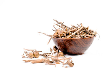 Xanthocarpum solanum is an Ayurvedic herb from India also known as choti Kateli or Kantakari is medicinal plant 