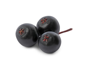 Delicious ripe black elderberries isolated on white