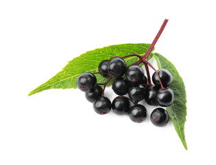 Delicious ripe black elderberries with green leaves isolated on white