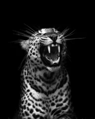 Stickers pour porte Léopard leopard portrait