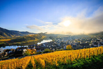 The Moselle loop in autumn, a beautiful river in Germany, makes a 180 degree loop. with vineyards and a great landscape and lighting in the morning. a golden autumn