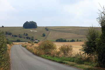 distant view of the Hackpen white horse.