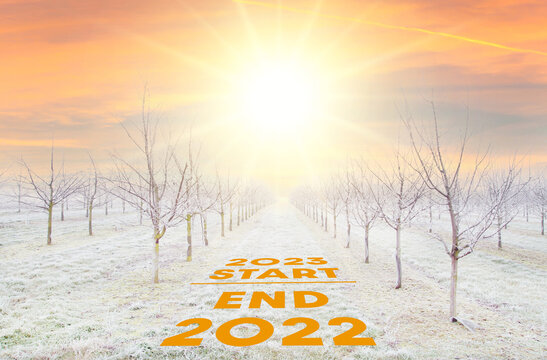 Start 2023. End 2022. New Year. Plantation of fruit trees with beautiful sun down background. freezing rain storm in winter. Winter frosty fruit tree lands