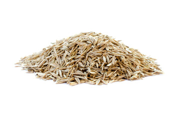 Pile of lawn grass seeds isolated on white background. Dry lawn grass seeds isolated on white background. Heap of lawn grass seeds on a white background.