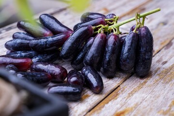 Witch grapes, moon drops, grapes or sweet sapphires picked from the garden fresh and new.  It is a seedless grape that is sweet and delicious.
