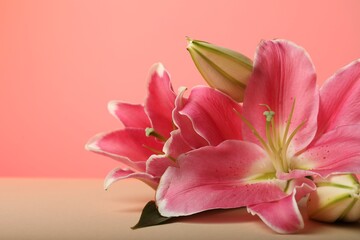 Beautiful pink lily flowers on color background, closeup