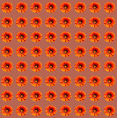 Floral greeting card design