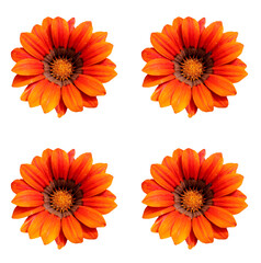 Floral greeting card design