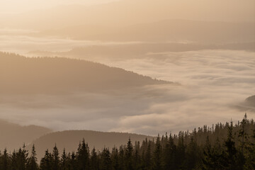 Fototapeta na wymiar Beautiful landscape of morning foggy of the Carpathian mountains on a sunny day in summer. Western Ukraine, Europe