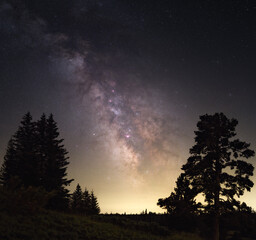 Milky way rising between trees. Trees in the mountains