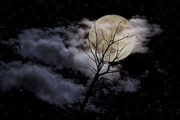 Dead tree in a full moon night