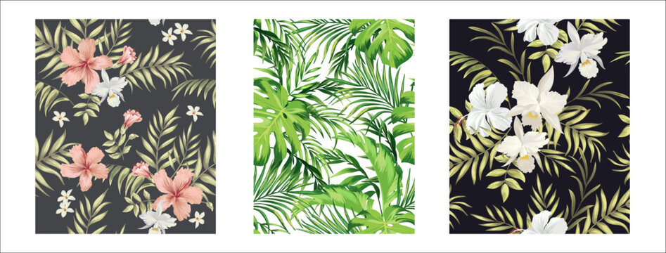 Set of tropical seamless vector pattern. Collection of tropic botanical illustration.