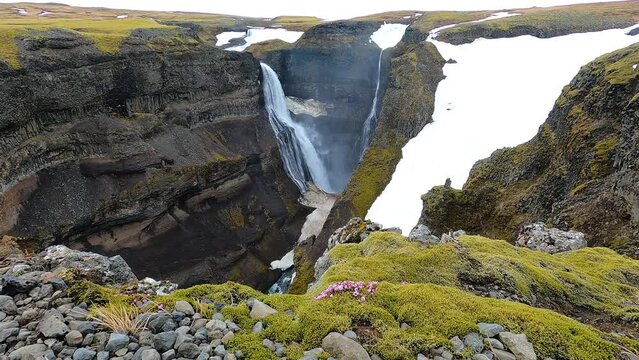 Granni and H&aacute;ifoss waterfall in Southern Iceland in May, with stones covered with moss and spring wild flowers.