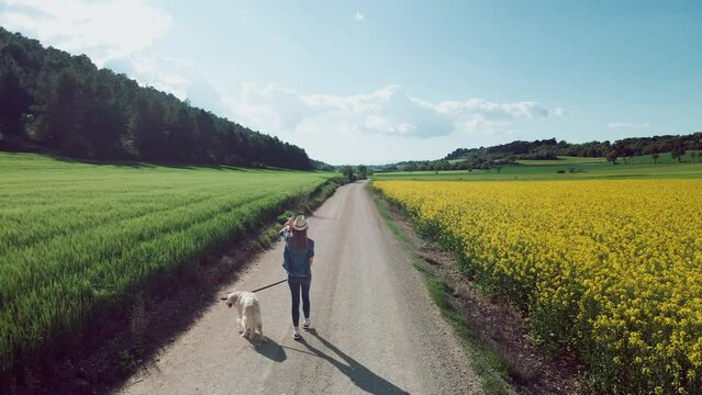 Video of attractive young woman playing with her beautiful golden retriever dog while walking through in a rapessed field.
