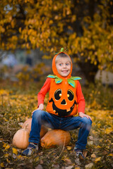 kins, in an autumn yellow park, with fallen leaves