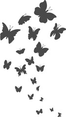 vector butterfly flight illustration