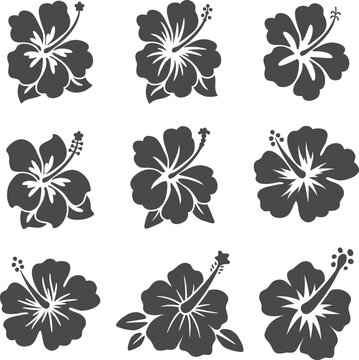 Fototapeta vector set of hibiscus flowers