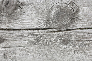Texture of the old wood