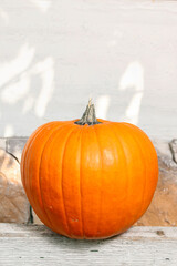 Pumpkins on the garden table.