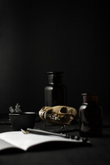 Dark mood still life. real fox skull, calligraphy pen, aopthecary bottle, black wood table. Gothic witch moody background.