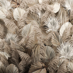 decorative wall of white dried pampas grass, reeds and Cortaderia