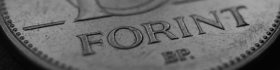 Hungarian coin of 10 forints lies on dark surface close-up. Money of Hungary. News about economy or finance. Wages and taxes. Magyar forint. Black and white business banner. Macro