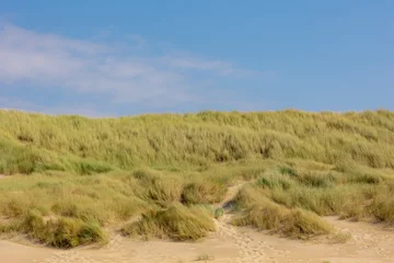 Papier Peint photo Mer du Nord, Pays-Bas Les dunes ou la digue de la côte néerlandaise de la mer du Nord, l& 39 herbe de marram européenne (herbe de plage) sur la dune de sable avec un ciel bleu en toile de fond, l& 39 arrière-plan de la texture du motif naturel, la Hollande du Nord, Pays-Bas.