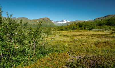Glacier covered mountain on the far horizon in the green Arctic landscape of Sarek National Park, Sweden. Beautiful day of arctic summer in Swedish Lapland. Hiking in Laponia. Far north.