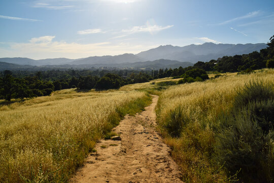 Ojai Meadows Preserve, Ventura County