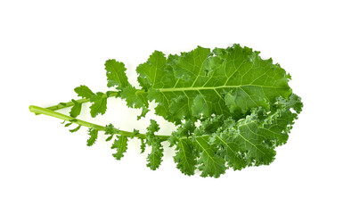 Creative layout made of kale on white background