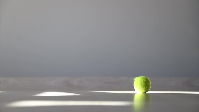 Bounce go the tennis balls….and not only them (videos+photos