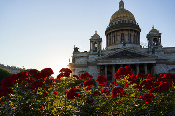 the majestic St. Isaac's Cathedral in the sunlight of the setting sun with red roses