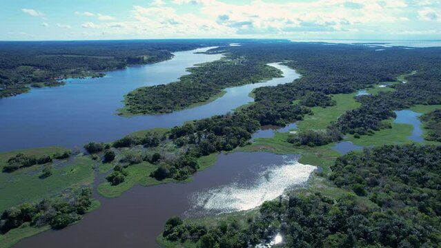 Amazon Forest At Manaus Amazonas Brazil. Eco Amazonia Amazon River. Green Of Eco Lifestyle. Biodiversity Green Basin. Outdoor Island. Manaus Amazonas Ride